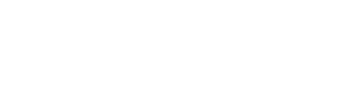 Website.Ge